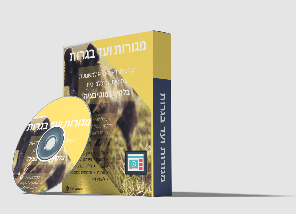 גמור3