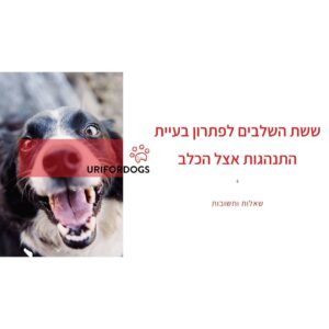וובינר – 6 השלבים לשינוי התנהגות הכלב