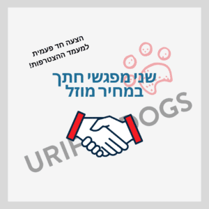שני מפגשי חתך