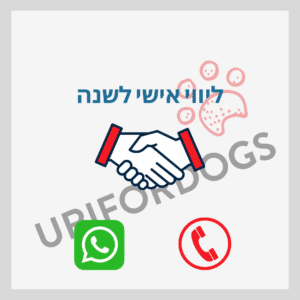 תבנית שירה אינסטגרם חופשית לשינוי טקסט ורקע