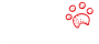 logo_transparent_background white text